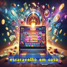 escaravelho em casa significado espiritual